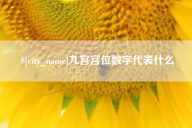 明港九宫宫位数字代表什么