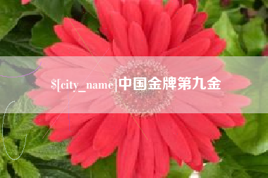 明港中国金牌第九金