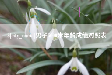 明港男子5000米年龄成绩对照表