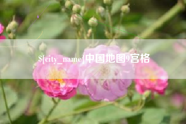 明港中国地图9宫格
