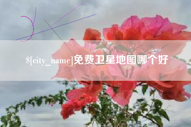 明港免费卫星地图哪个好