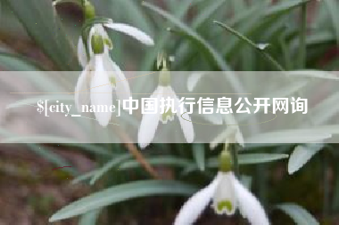 明港中国执行信息公开网询