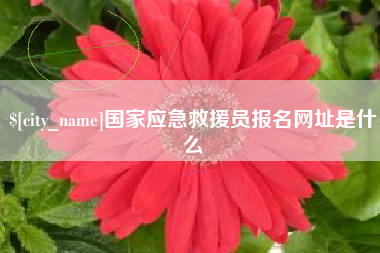 明港国家应急救援员报名网址是什么