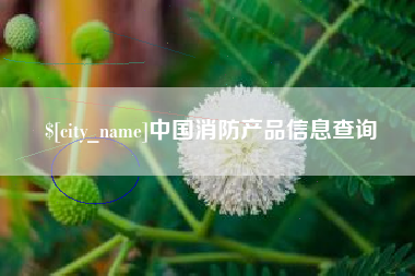 明港中国消防产品信息查询