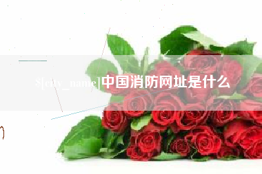 明港中国消防网址是什么