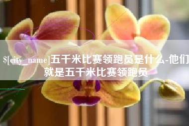 明港五千米比赛领跑员是什么-他们就是五千米比赛领跑员