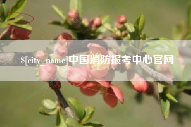 明港中国消防报考中心官网