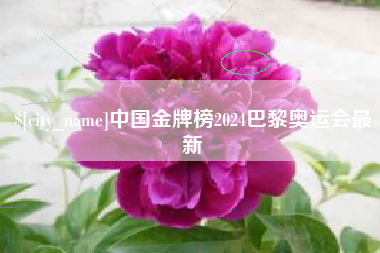 明港中国金牌榜2024巴黎奥运会最新