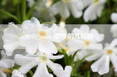 明港数字的九宫格