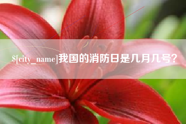 明港我国的消防日是几月几号？