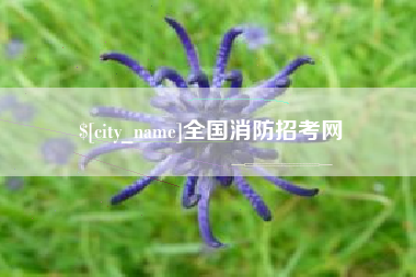 明港全国消防招考网