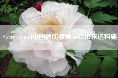 明港中国消防救援学院山东选科要求