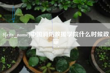 明港中国消防救援学院什么时候政审