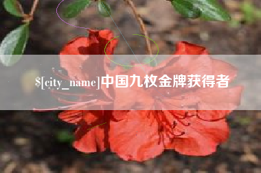 明港中国九枚金牌获得者