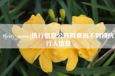 明港执行信息公开网查询不到被执行人信息