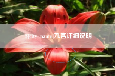 明港九宫详细说明