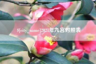 明港2021年九宫对照表