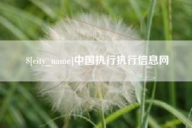 明港中国执行执行信息网