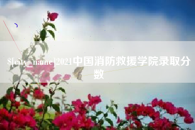 明港2021中国消防救援学院录取分数