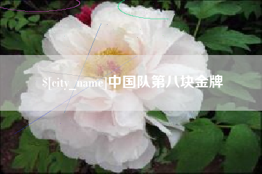 明港中国队第八块金牌