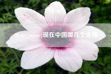 明港现在中国哪几个金牌