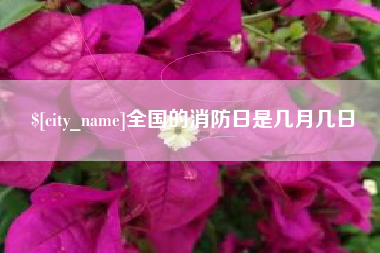 明港全国的消防日是几月几日
