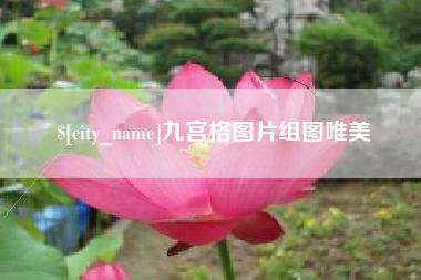 明港九宫格图片组图唯美