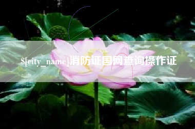 明港消防证国网查询操作证