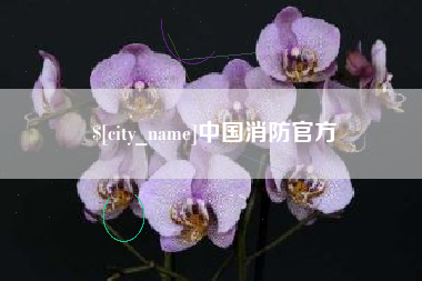 明港中国消防官方