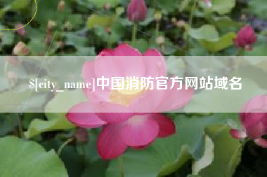 明港中国消防官方网站域名