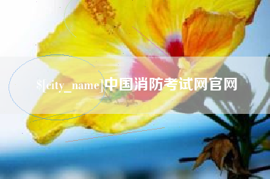 明港中国消防考试网官网