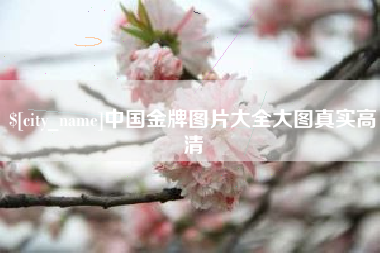 明港中国金牌图片大全大图真实高清