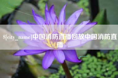 明港中国消防直播回放中国消防直播