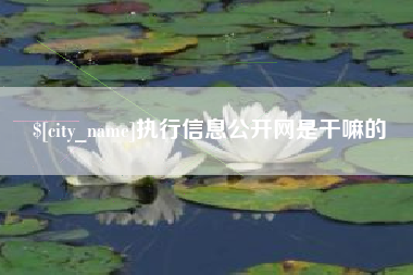 明港执行信息公开网是干嘛的