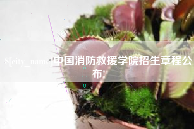 明港中国消防救援学院招生章程公布!