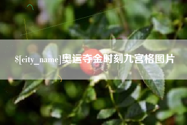 明港奥运夺金时刻九宫格图片