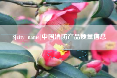 明港中国消防产品质量信息