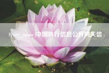 明港中国执行信息公开网失信