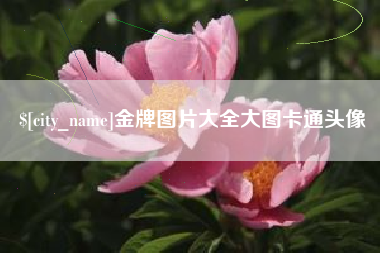 明港金牌图片大全大图卡通头像