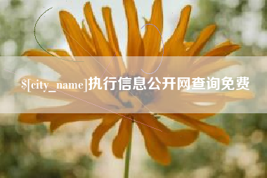 明港执行信息公开网查询免费